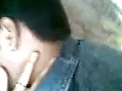 सेलिया हॉलीवुड फुल स ...