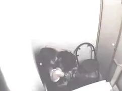 गर्भवती - हुत ब्रुने ...