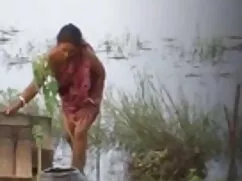 हंगेरियन त्रिगुट हिं ...