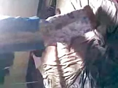 बिग तैसा पर्नस्टारों ...