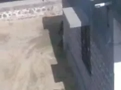 आबनूस कुतिया के साथ  ...