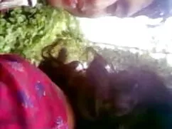 ओलगुन सिफट कल्सिक मु ...