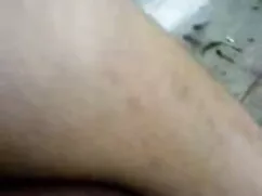 विशाल मुर्गा हिंदी म ...