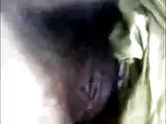 श्यामला फुल हिंदी से ...