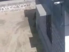 सेक्सी शरीर सेक्सी फ ...