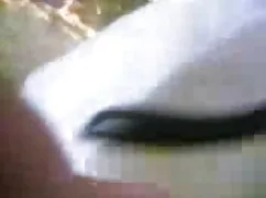 सेक्सी फुल सेक्स हिं ...