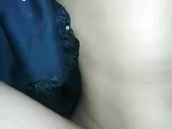 बालों वाली टहनियाँ ब ...